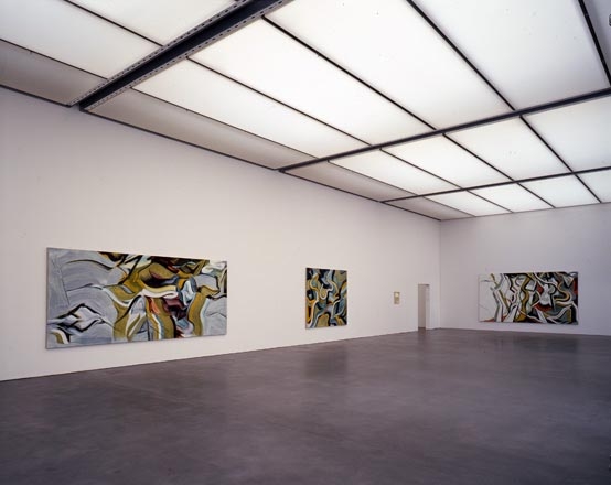 Installation of&nbsp;Robert Zandvliet - Brushwood, Neues Kunstmuseum Luzern, Switzerland, 2001