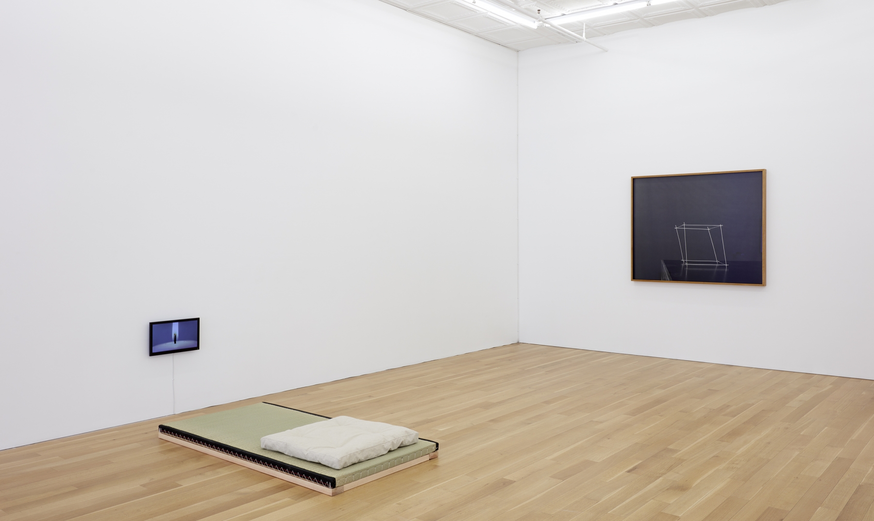 Installation of&amp;nbsp;Su-Mei Tse:&amp;nbsp;In the (very) beginning, Peter Blum Gallery, New York, NY, 2019-2020