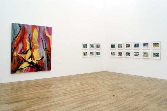 Installation of Robert Zandvliet -&nbsp;Beyond the Horizon -&nbsp;Paintings 1994-2005, Kunstmuseum Bonn, Germany, 2005
