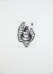 Untitled (Artist&#039;s 1993 title: Maggots)