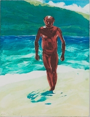 Untitled (Man Walking) from: Year of the Drowned Dog