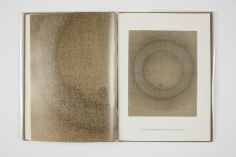 Helmut Federle,&nbsp;The Ferner Paintings, 2013