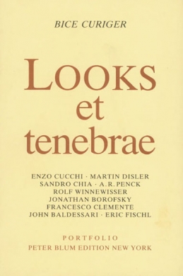 Looks et Tenebrae by Bice Curiger