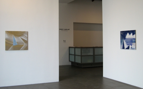 Installation view of Robert Zandvliet, Inner Landscapes, 2008 at Peter Blum Chelsea.