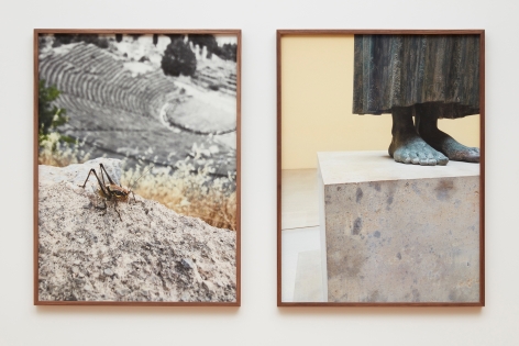 Su-Mei Tse Delphi: Grasshopper (Delphi) and The Charioteer of Delphi, 2019