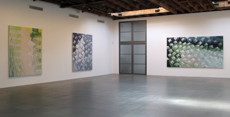 Installation view of Robert Zandvliet, Inner Landscapes, 2008 at Peter Blum Chelsea.
