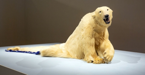 Nicholas Galanin We Dreamt Deaf, 2015 taxidermied polar bear, polar bear rug 80 x 120 x 42 inches (203.2 x 304.8 x 106.7 cm) (NGA15-01)