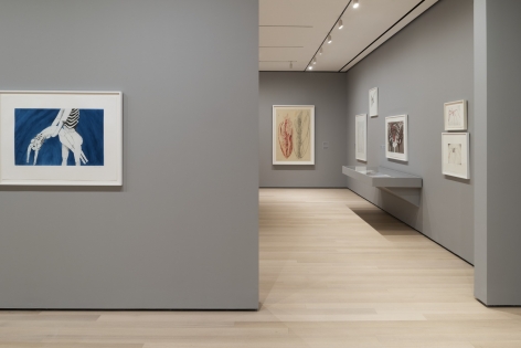 Installation of Louise Bourgeois: An Unfolding Portrait, Musuem of Modern Art, New York, NY  (September 24, 2017–January 28, 2018)