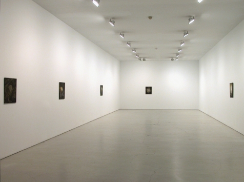 Installation view of Scratching Away at the Surface exhibition from October 29, 2009 – January 9, 2010. It includes several similarly sized paintings.